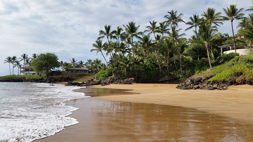 Palm trees on beach against sky