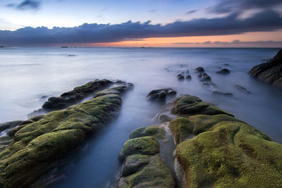 Scenic view of beach during sunset