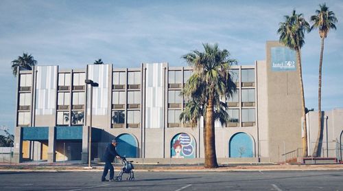 Man standing by palm trees on city street against sky