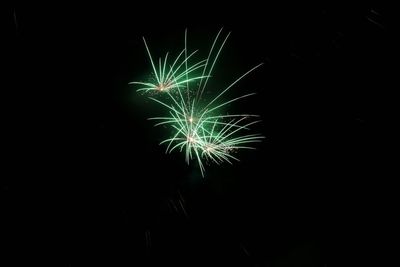 Low angle view of firework display at night