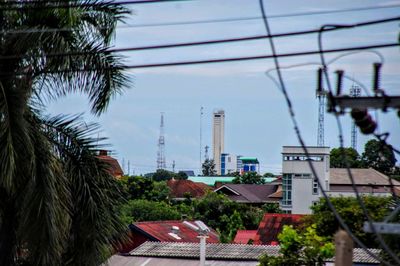 Palm trees and buildings against sky