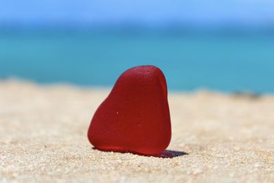 Close-up of red rose on beach