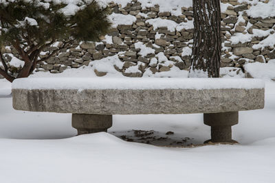 Close-up of snow on tree