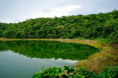 Scenic view of lake by trees in forest against sky