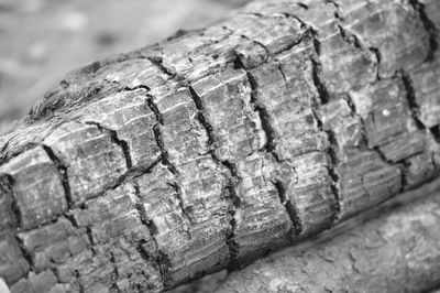 Close-up view of stone wall