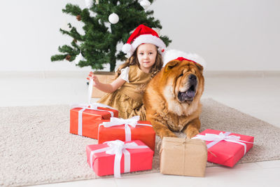 Portrait of dog wearing hat sitting in box