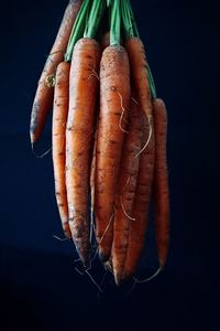 High angle view of carrots on black background