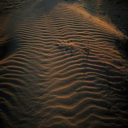 Full frame shot of sand dune