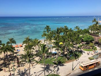 High angle view of palm trees on beach against blue sky