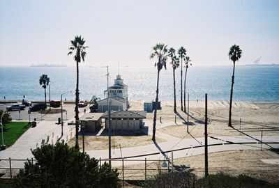 Palm trees on beach against clear sky