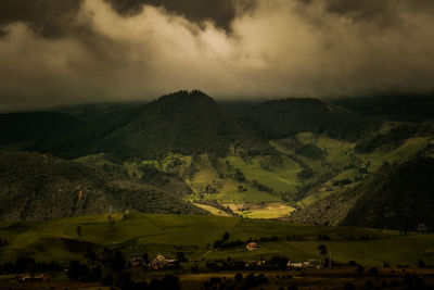 Cows grazing on field by mountains against sky