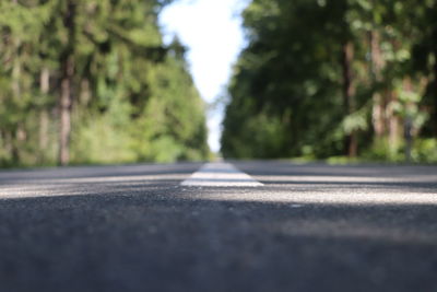 Surface level of road against trees