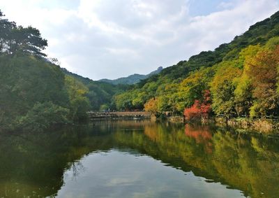 Scenic view of lake in forest against sky