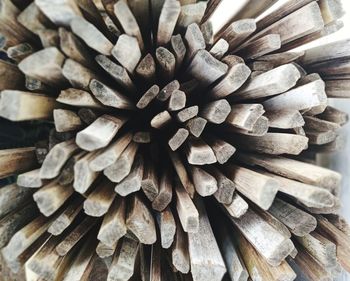 Close-up of firewood