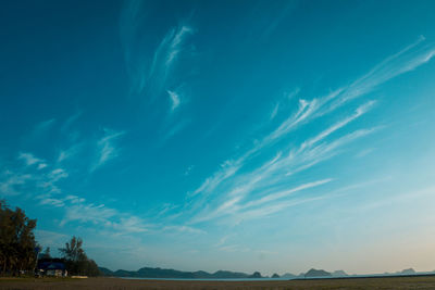 Low angle view of trees on field against blue sky