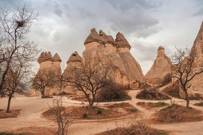 View of trees on landscape against cloudy sky