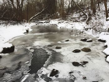 Frozen river amidst trees during winter