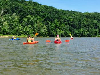 People floating on water against trees