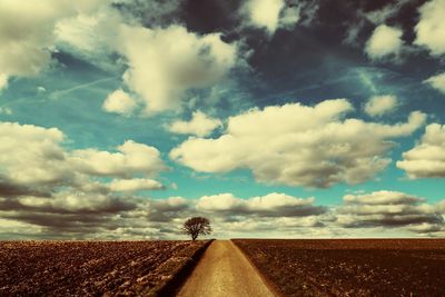 Road by agricultural field against sky
