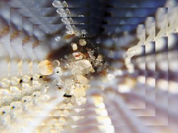 Close-up of illuminated lighting equipment