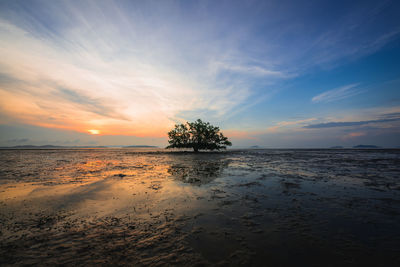 Scenic view of sea against sky during sunset