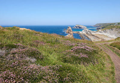 Scenic view of sea against clear sky