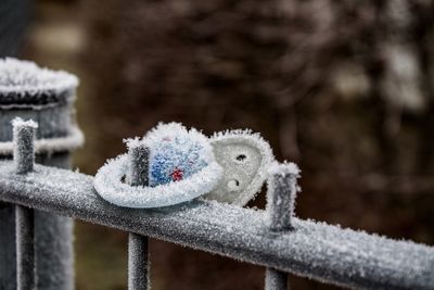 Close-up of frost on railing