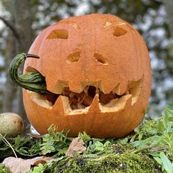 Close-up of pumpkin on pumpkins