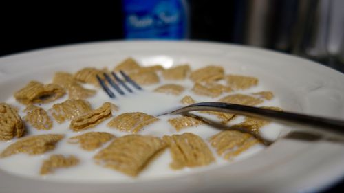 Close-up of bread in plate