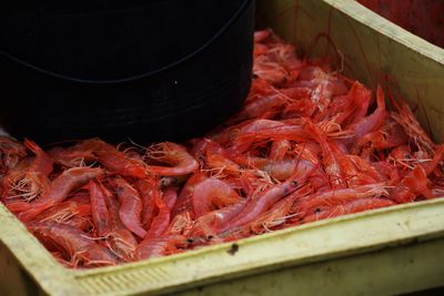 High angle view of crab for sale