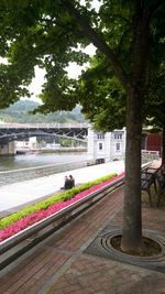 Woman with dog against sky in city