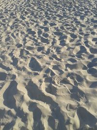 View of sea from beach