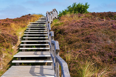 Staircase amidst trees against sky