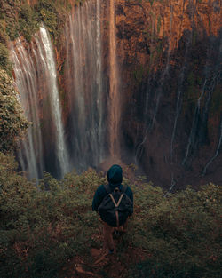 Rear view of man looking at waterfall in forest