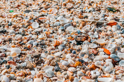 High angle view of pebbles on beach