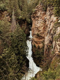 Scenic view of waterfall in forest