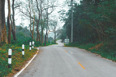 Road amidst trees in forest