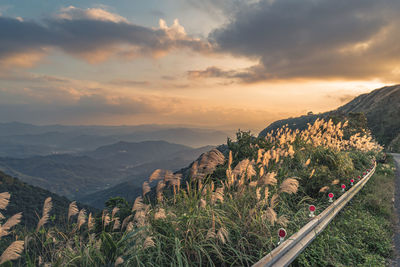 Scenic view of landscape against cloudy sky