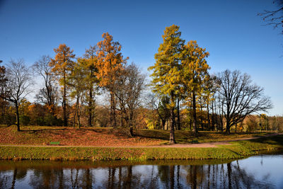 Scenic view of trees by lake against sky during autumn