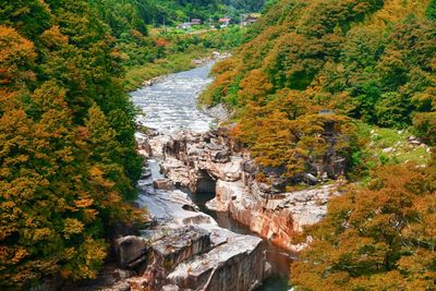 Stream flowing through rocks in forest during autumn