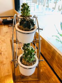 High angle view of potted plants on table