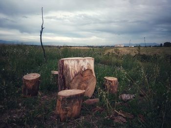 Wooden posts on field against sky