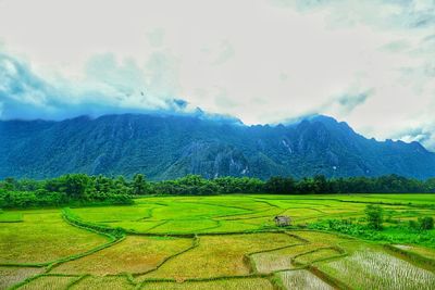 Scenic view of landscape against cloudy sky
