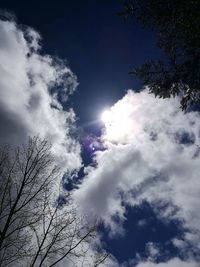 Low angle view of trees against cloudy sky