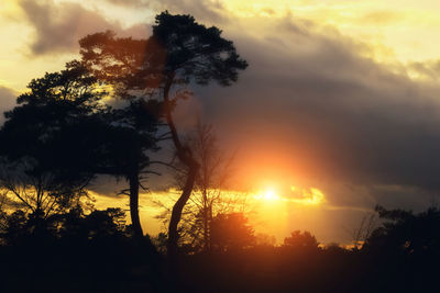 Silhouette trees against sky during sunset