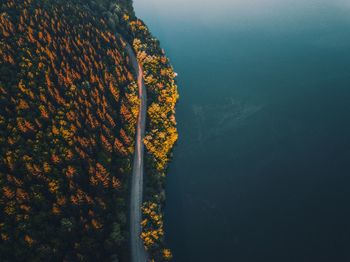 Scenic view of lake