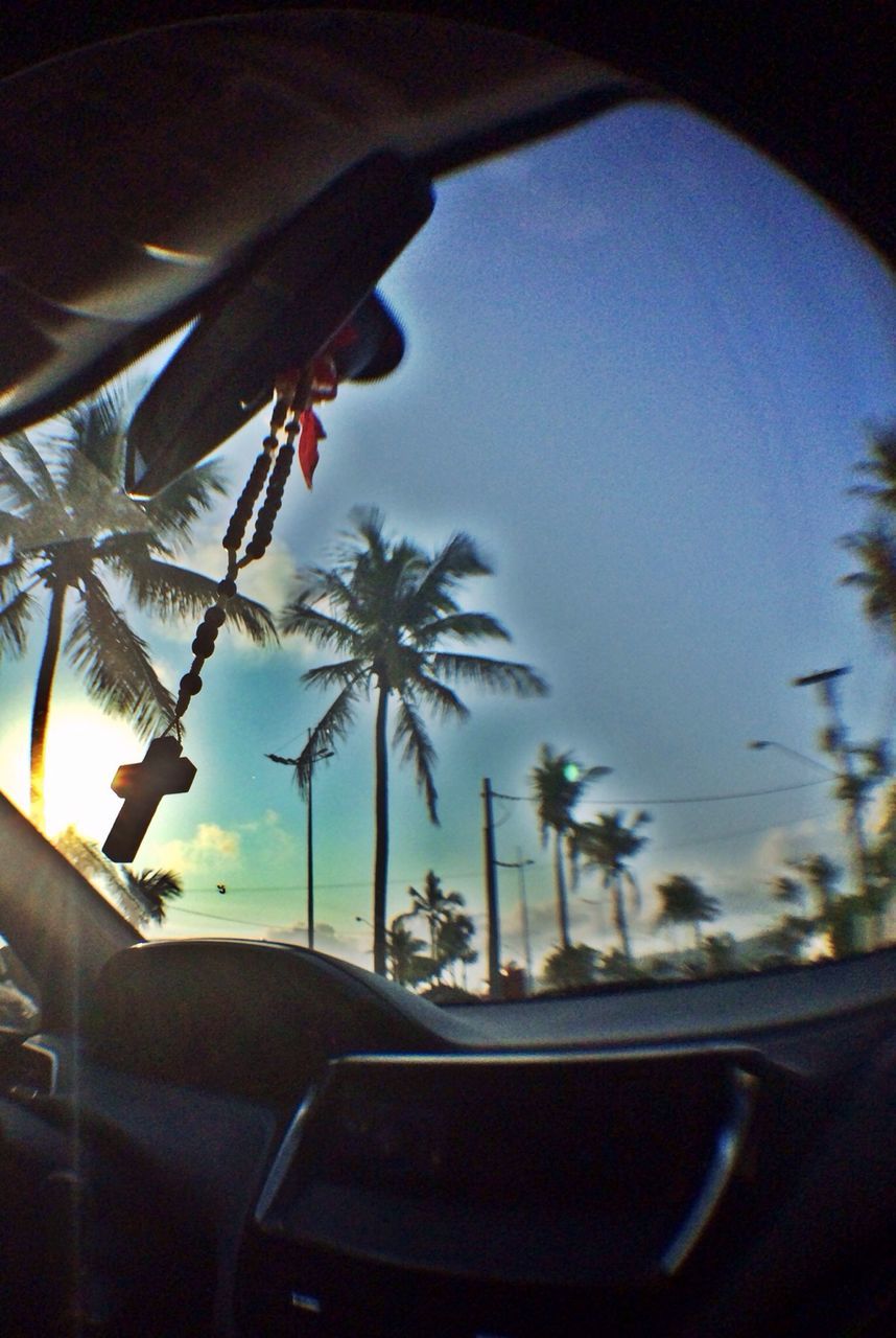 transportation, car, mode of transport, land vehicle, palm tree, sky, tree, road, low angle view, growth, windshield, glass - material, vehicle interior, nature, no people, transparent, day, sunlight, car interior, street