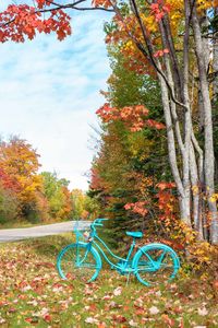 Bicycle by trees in park during autumn