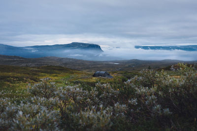 Scenic view of landscape against cloudy sky