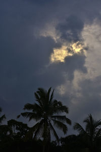 Low angle view of silhouette palm trees against sky at sunset